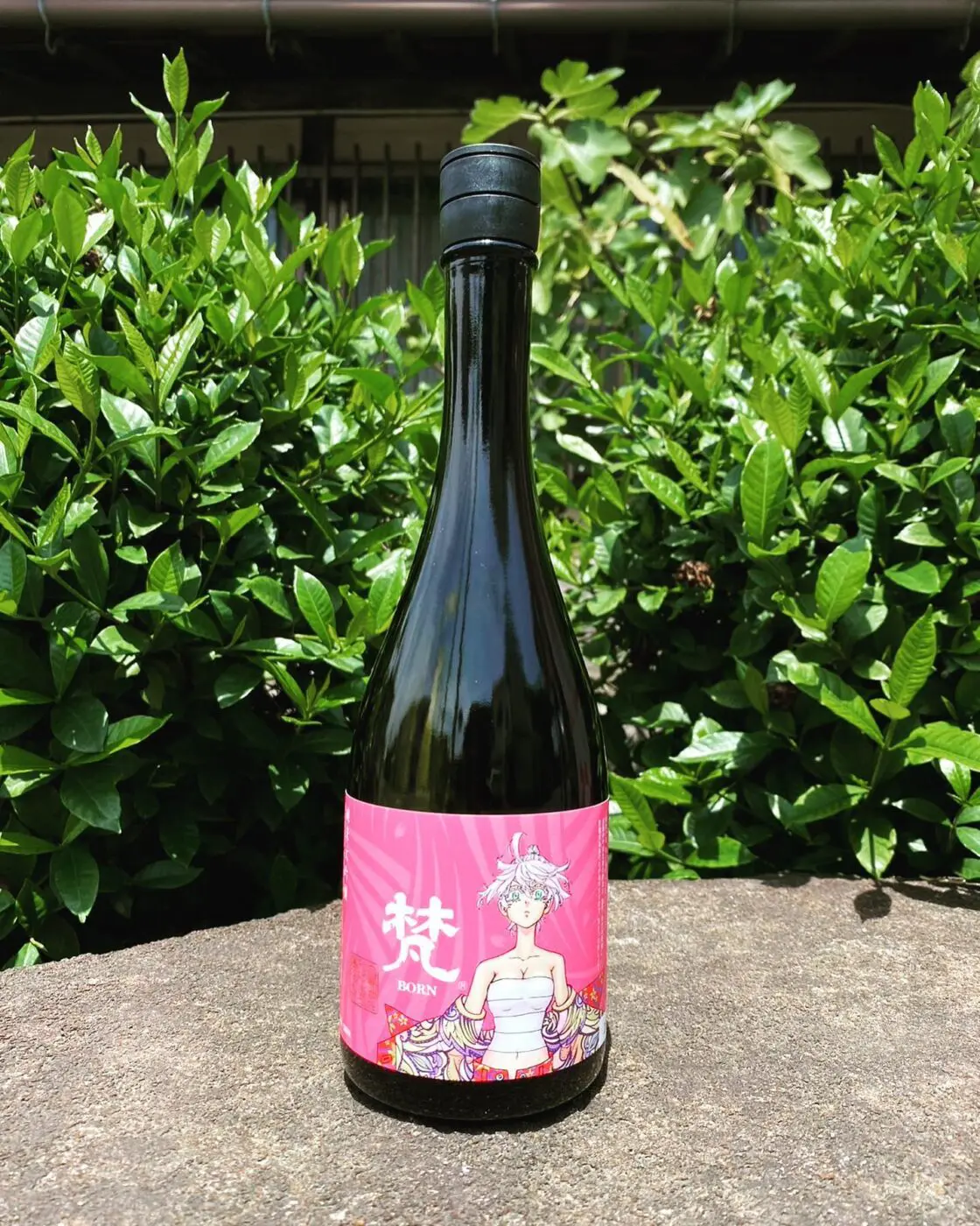 BORN リベンジャーズ　日本酒　梵　コラボ ◇【箱入】梵×東京卍リベンジャーズコラボ さかほまれ 磨き五割