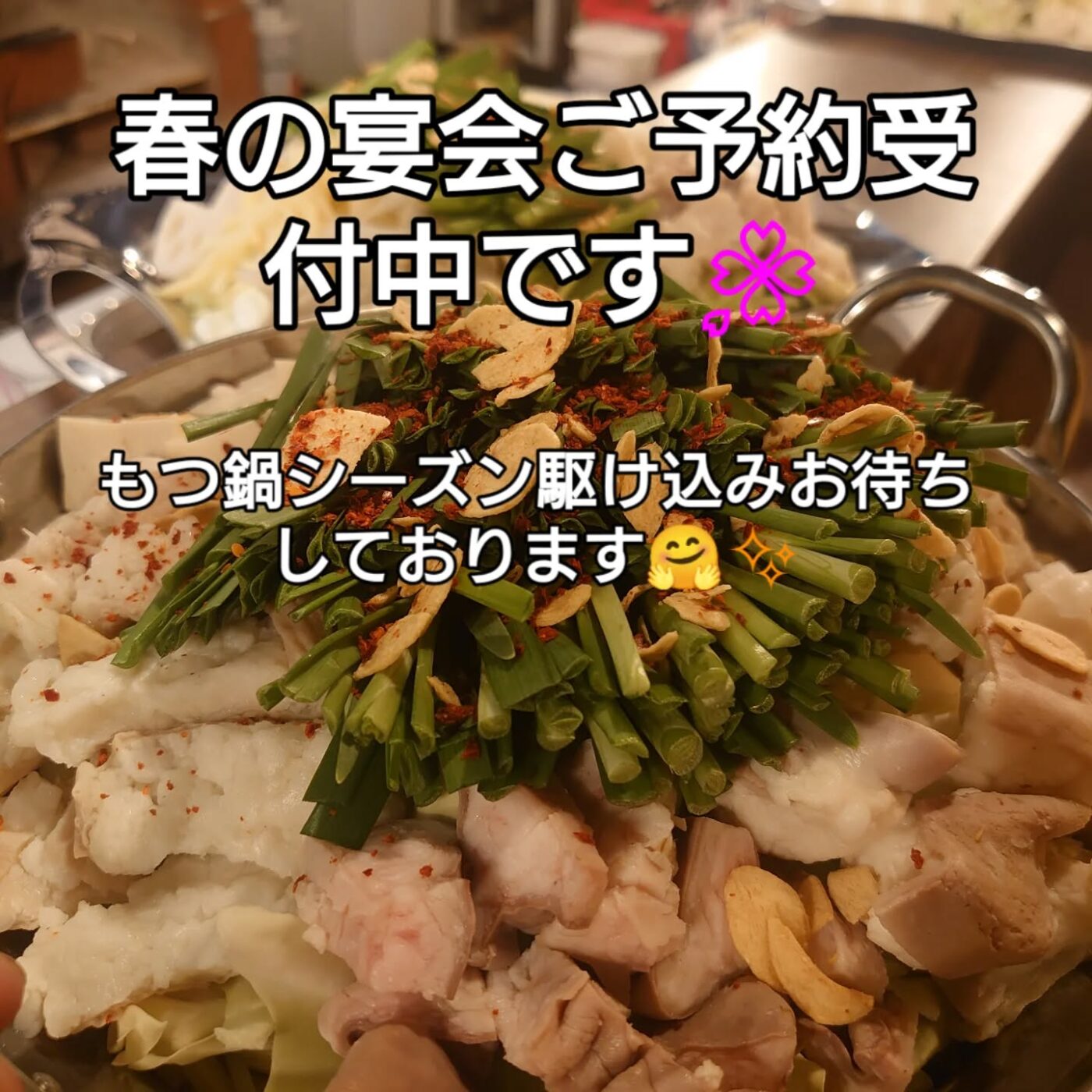 お知らせ更新！